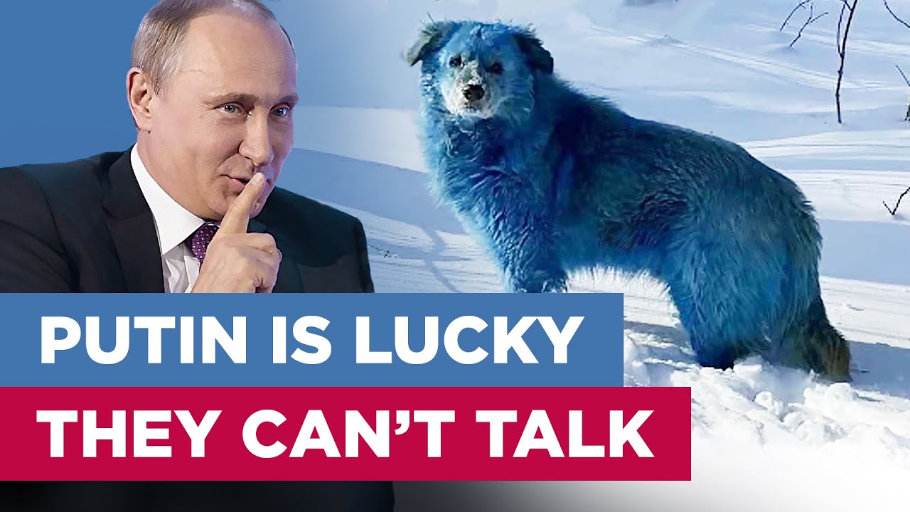 animals-in-putin-s-russia-he-s-lucky-they-can-t-talk